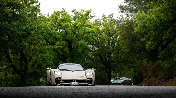 What are the top pet-friendly accommodations in the UK?